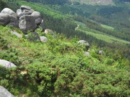 Monte Castelo Culleredo (1)
