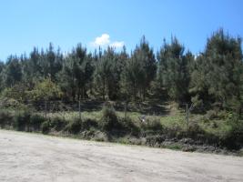 Monte Galiñeiro_Caldeirón_Morgadáns_24_04_2013 (4)