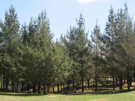 Monte Galiñeiro_Caldeirón_Morgadáns_24_04_2013 (6)