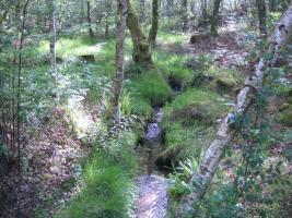 Monte Gato_Cuartel C_protector (4)