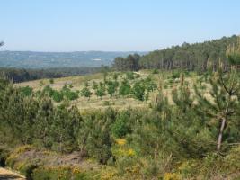 Monte Medo de Tioira (1)