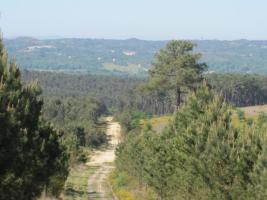 Monte Medo de Tioira (2)