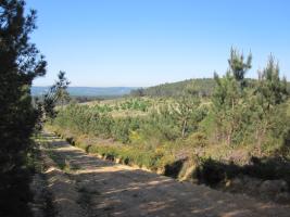 Monte Medo de Tioira