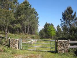 Monte Mouriscados_Mondariz_24_04_2013. (15)