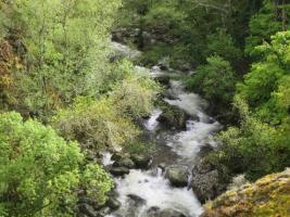 Río Mau (2)